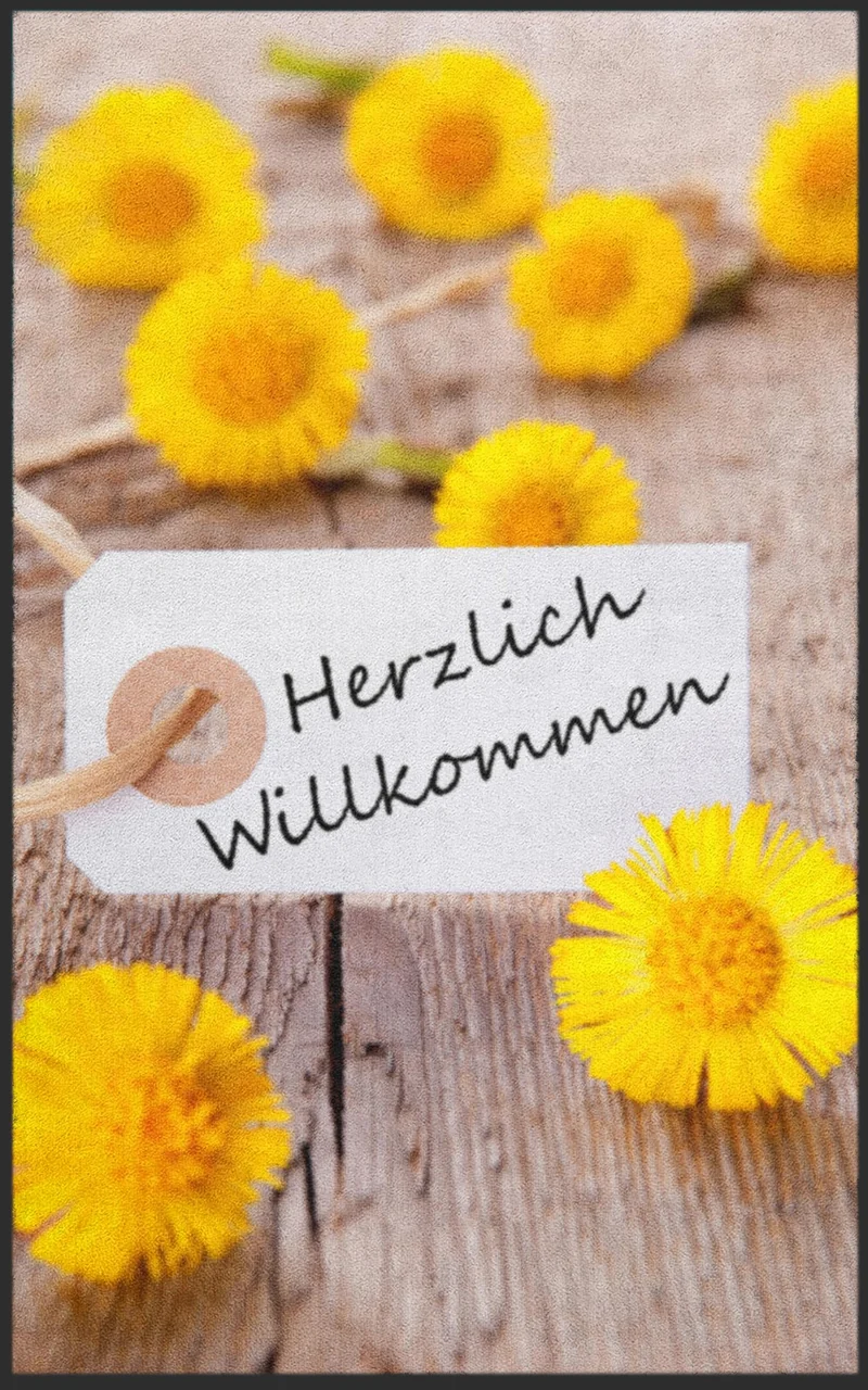 Sauberlaufmatte 7023