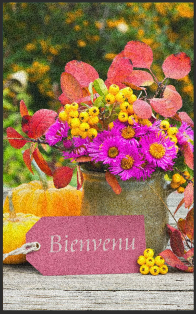 Sauberlaufmatte Bienvenue 7019