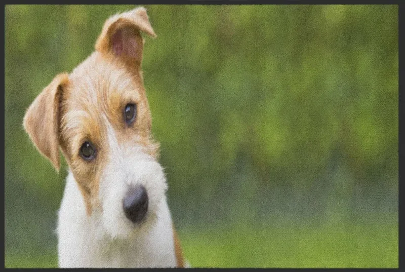 Fussmatte Hund 4541