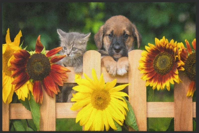 Fussmatte Hund und Katze 4534