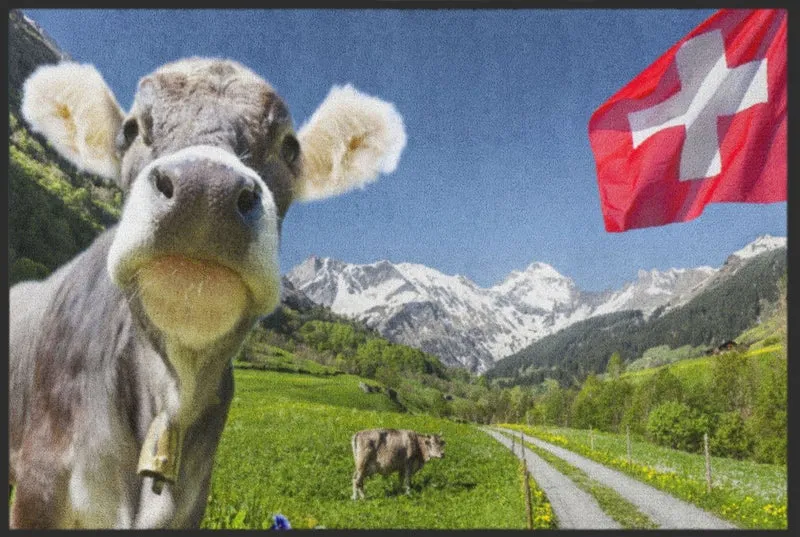 Fussmatte Schweiz 4506