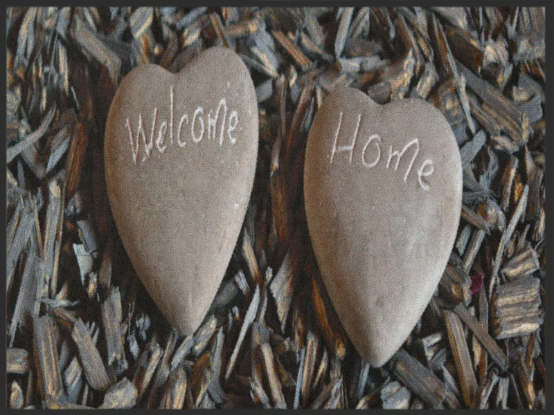 Sauberlaufmatte Welcome Home 4936