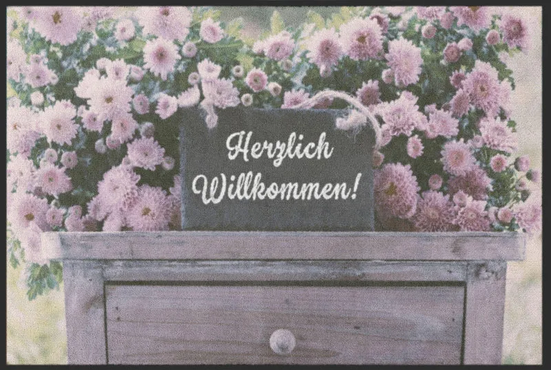 Sauberlaufmatte Willkommen 5068