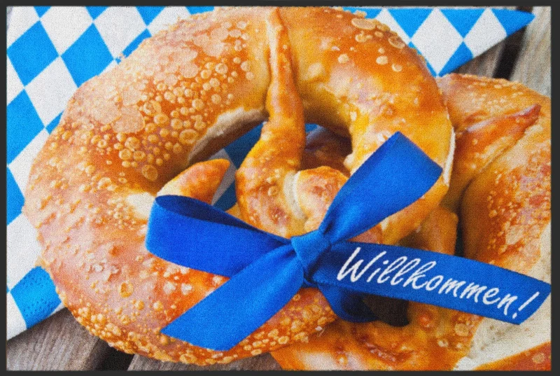 Sauberlaufmatte Willkommen 5038