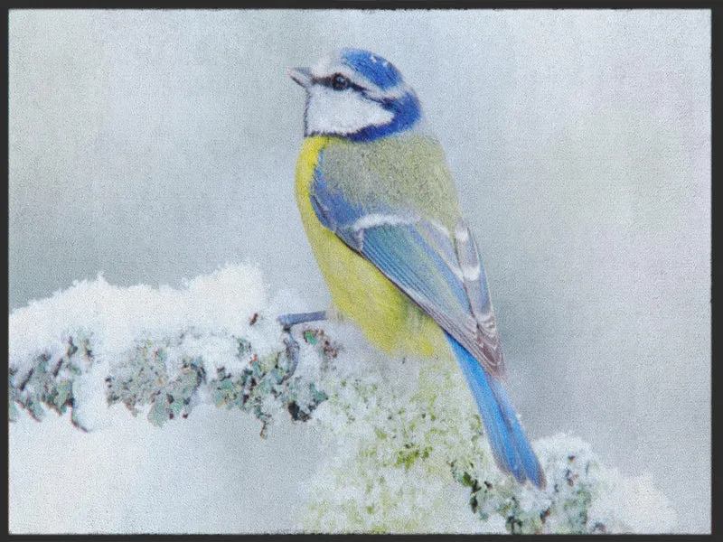 Sauberlaufmatte Vogel 5014