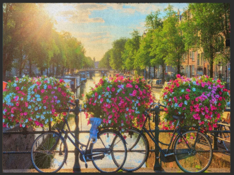 Sauberlaufmatte Holland 5013