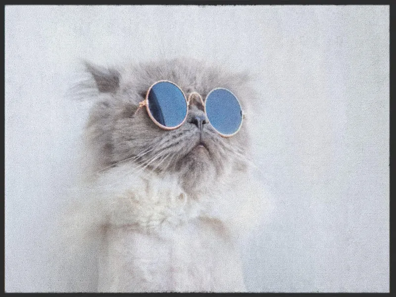 Sauberlaufmatte Katze 5001