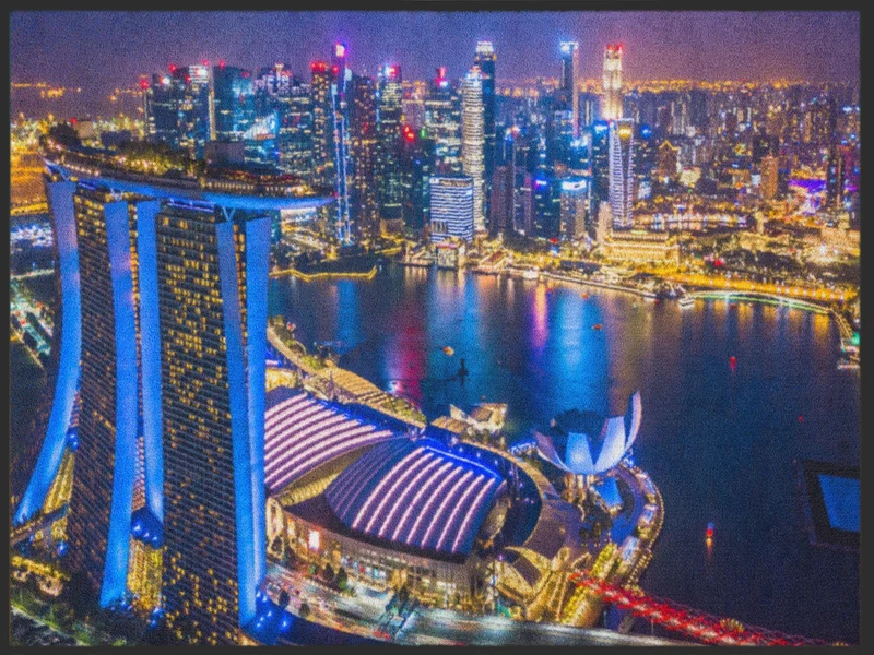 Sauberlaufmatte Singapur 4999