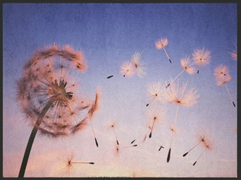 Sauberlaufmatte Pusteblume 4993