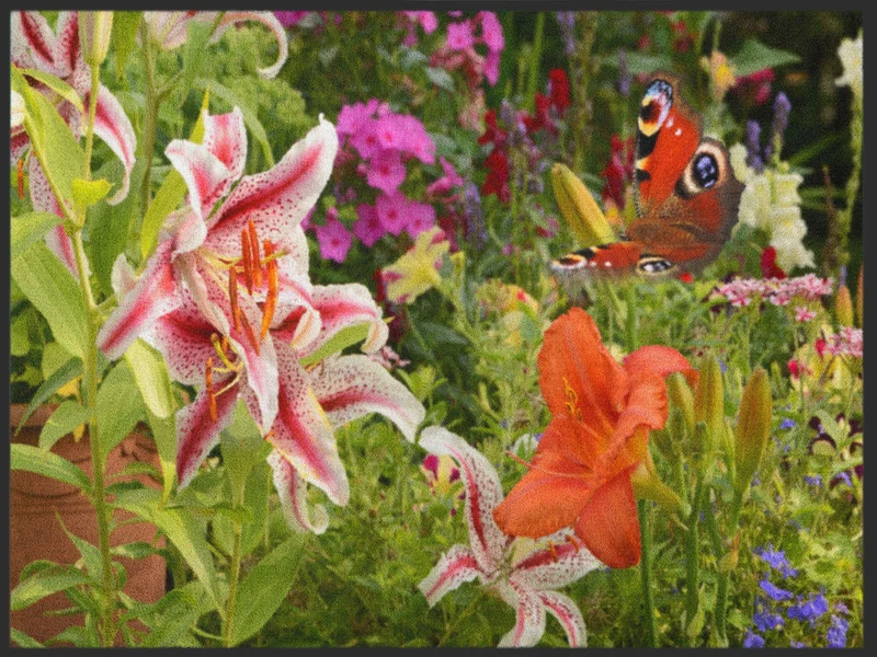 Sauberlaufmatte Blume 4984