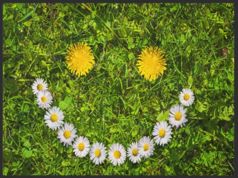 Sauberlaufmatte Smile 4969