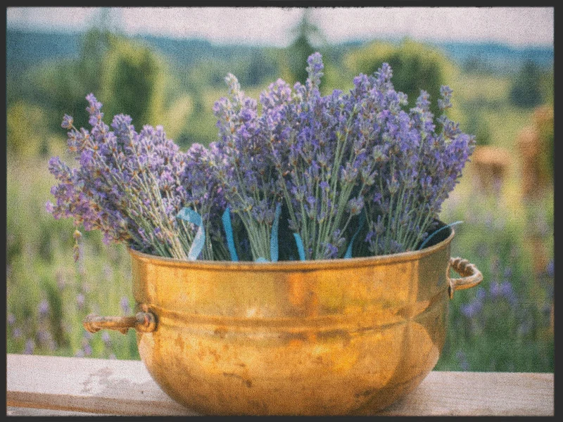 Sauberlaufmatte Lavendel 4958