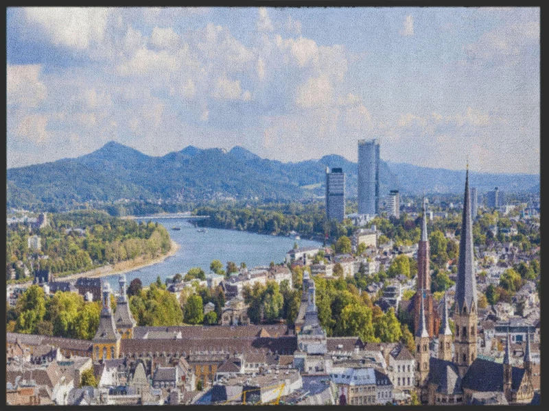 Sauberlaufmatte Bonn 4953