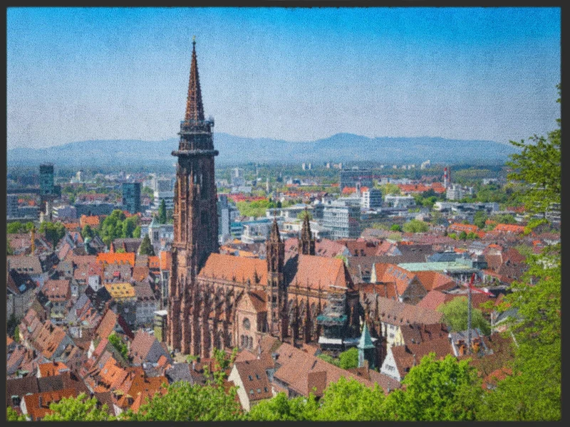 Sauberlaufmatte Freiburg 4951