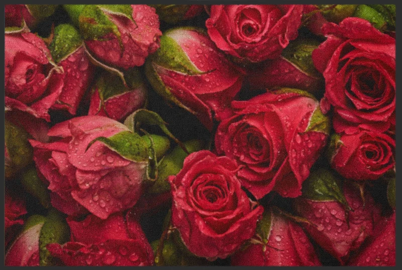 Sauberlaufmatte Rote Rosen 4619