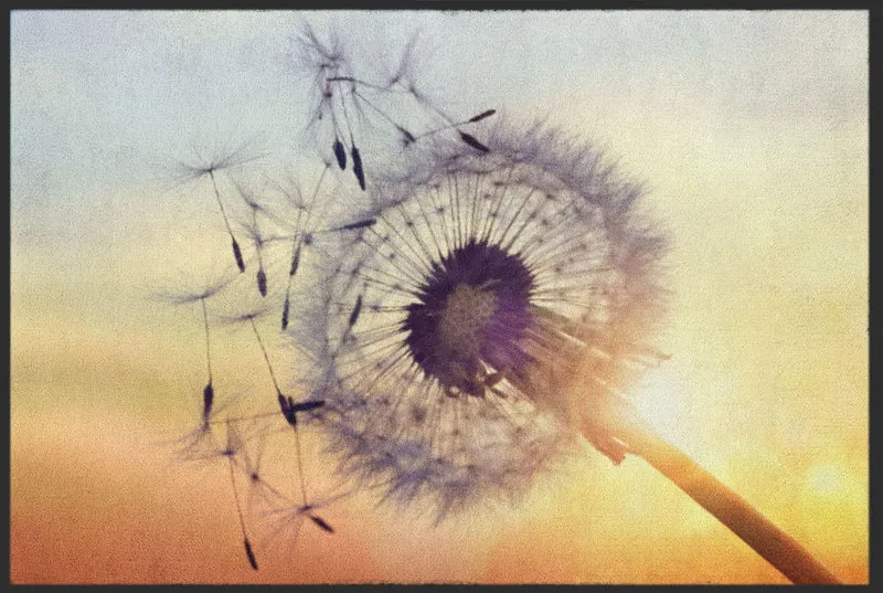 Sauberlaufmatte Pusteblume 4616