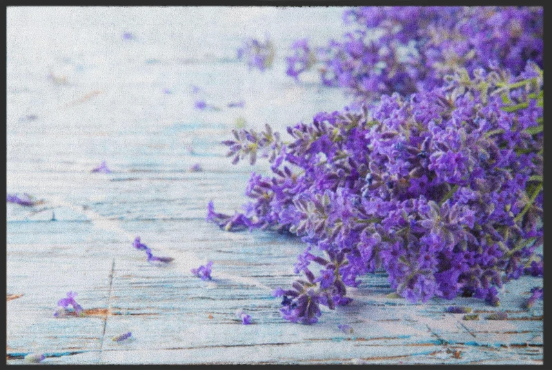 Sauberlaufmatte Lavendel 4611