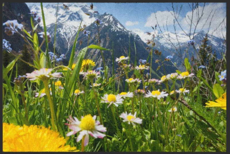 Sauberlaufmatte Almwiese 4569