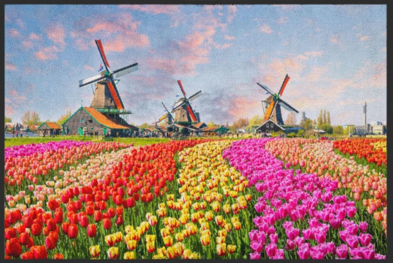 Sauberlaufmatte Holland 4556