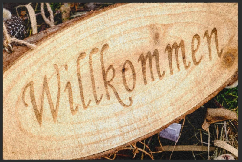 Sauberlaufmatte 4555