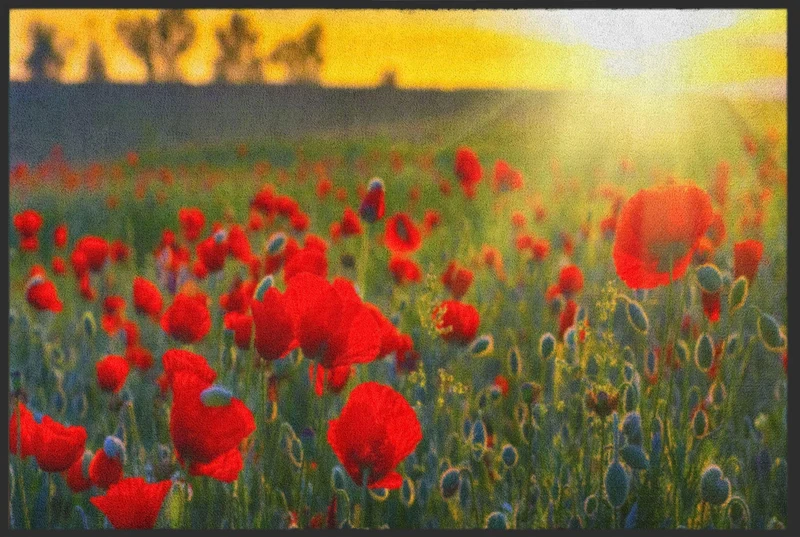 Sauberlaufmatte Mohn Feld 4546
