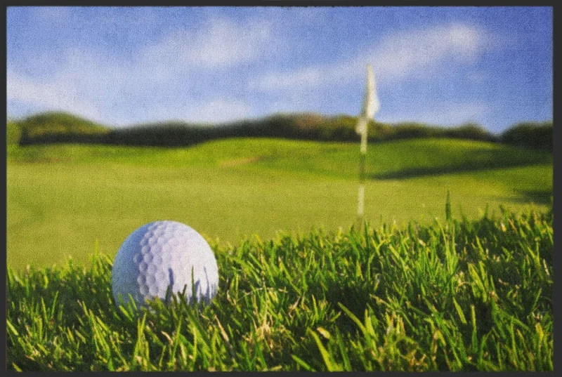 Sauberlaufmatte Golf 4542