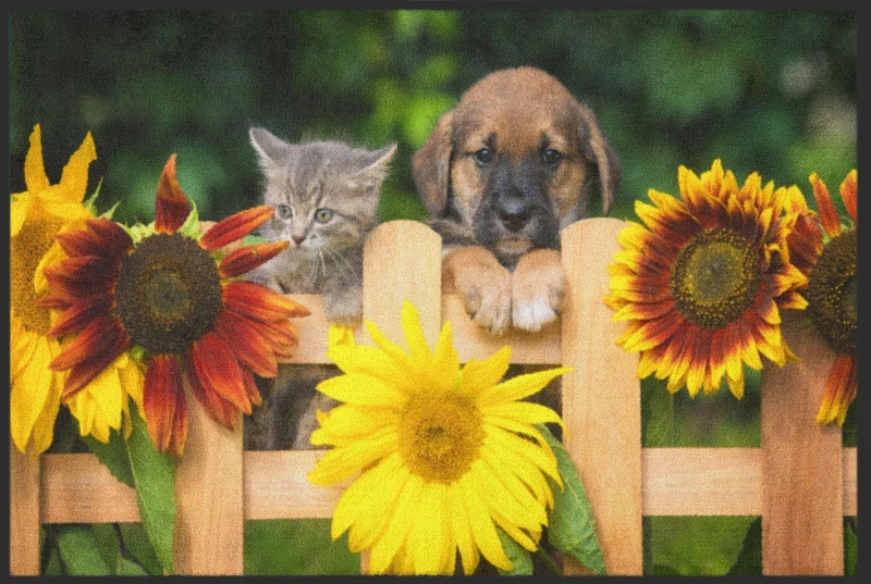 Sauberlaufmatte Hund und Katze 4534
