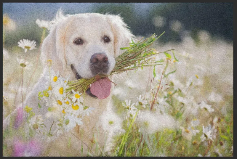 Sauberlaufmatte Hund 4532