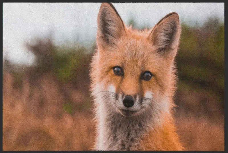 Sauberlaufmatte Fuchs 4513