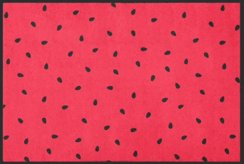 Sauberlaufmatte 4722