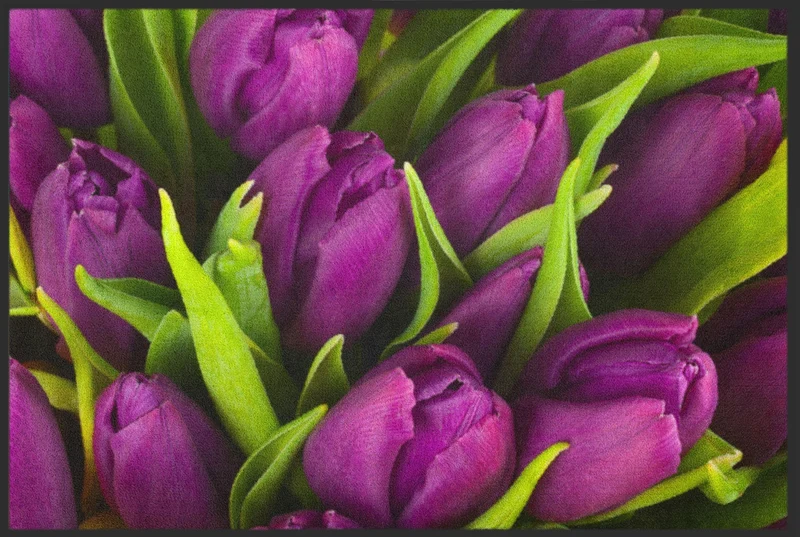 Sauberlaufmatte Tulpen 4638
