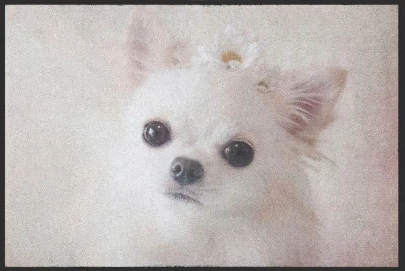 Sauberlaufmatte Chihuahua 4628