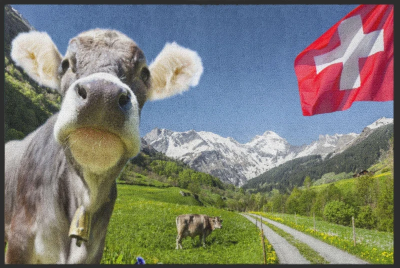 Sauberlaufmatte Schweiz 4506