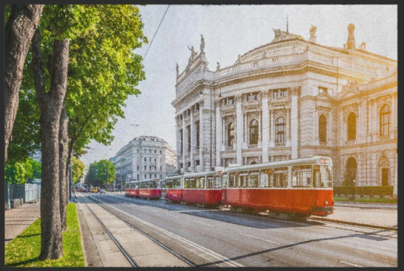 Sauberlaufmatte Wien 4479