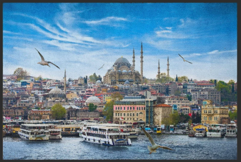 Sauberlaufmatte Istanbul 4478