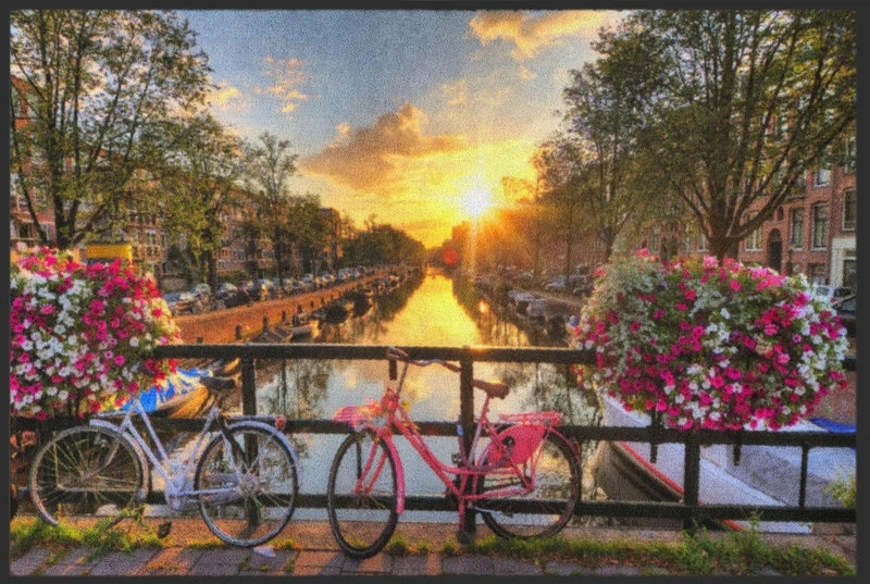 Sauberlaufmatte Holland 4476
