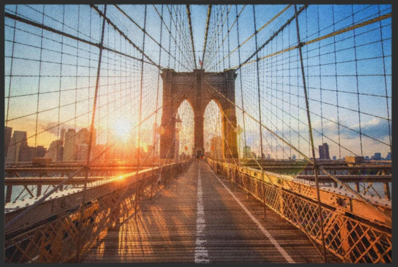 Sauberlaufmatte New York 4471
