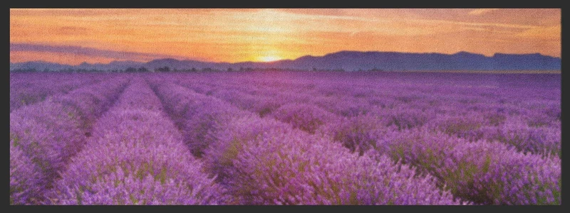 Küchenteppich Lavendel 4366