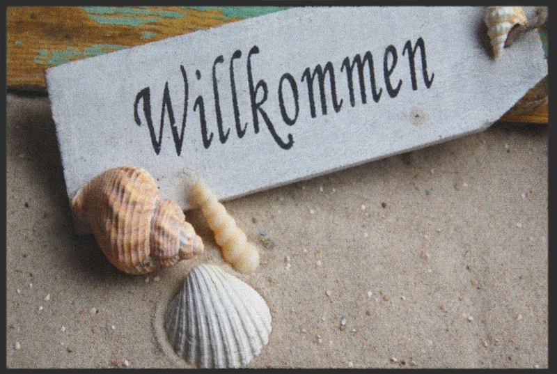 Sauberlaufmatte 4333