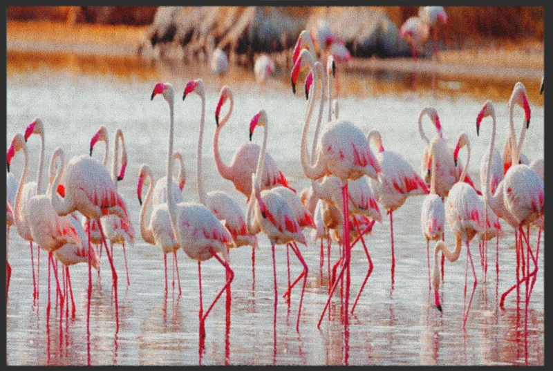 Sauberlaufmatte Flamingo 4821
