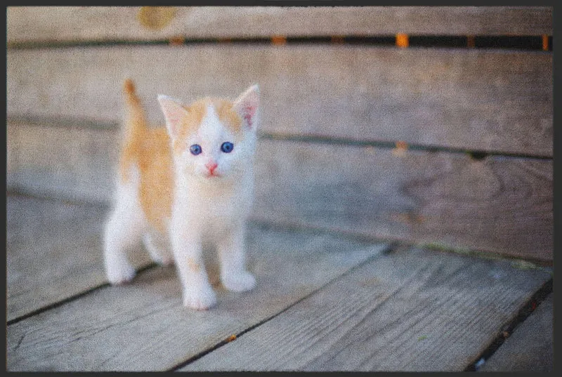 Sauberlaufmatte Katze 4818