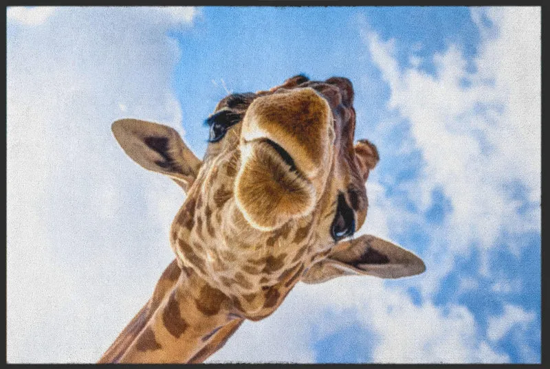 Sauberlaufmatte Giraffe 4817