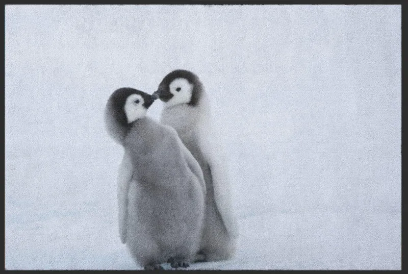 Sauberlaufmatte Pinguin 4812
