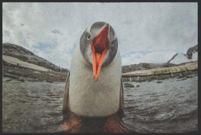 Sauberlaufmatte Pinguin 4810