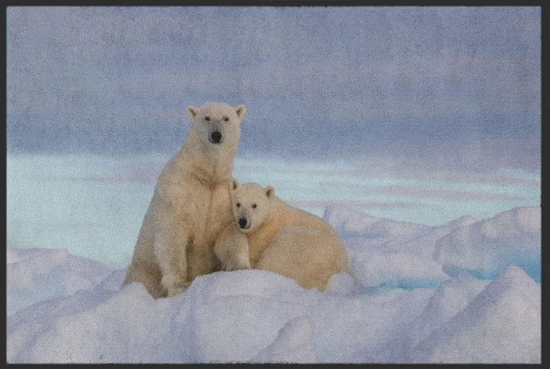 Sauberlaufmatte Eisbär 4809