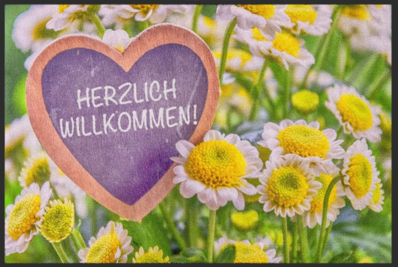 Sauberlaufmatte 4796