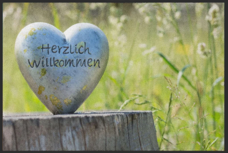 Sauberlaufmatte 4778