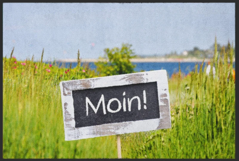 Sauberlaufmatte Moin 4759