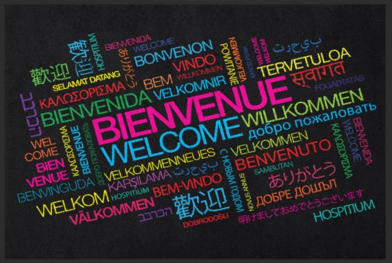 Sauberlaufmatte Bienvenue 4049