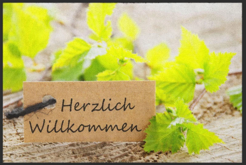 Sauberlaufmatte 4032